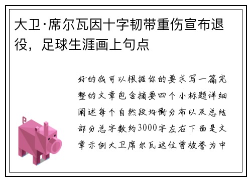 大卫·席尔瓦因十字韧带重伤宣布退役，足球生涯画上句点